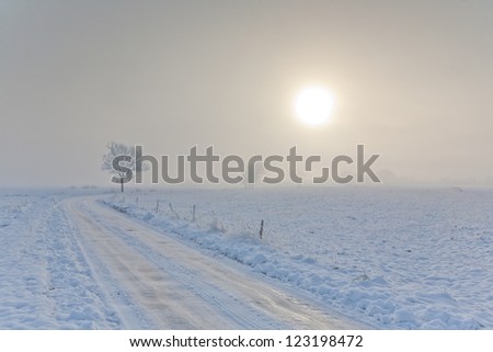 Winter landscape with trees snow wrapped by ground road and misty sunrise
