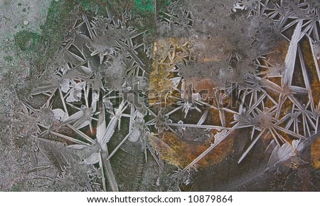 Art of nature. Frost floral like pattern over rusty background
