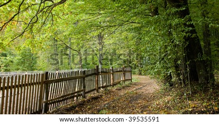 Old wooden fence by ground road and forest in autumn