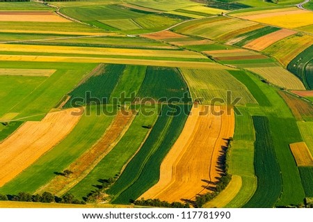 Big Field Ready To Harvest Aerial View