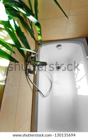 Clean bathtub in summer light and green plant