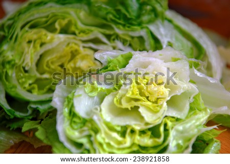 Fresh Green Iceberg lettuce preparing close up