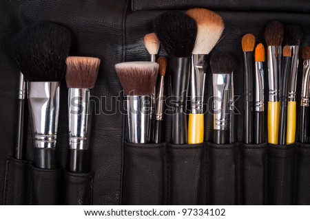 Makeup brushes in leather case