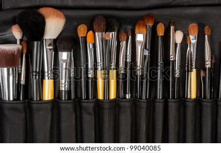 Makeup Brush Case on Makeup Brushes In Leather Case Stock Photo 99040085   Shutterstock