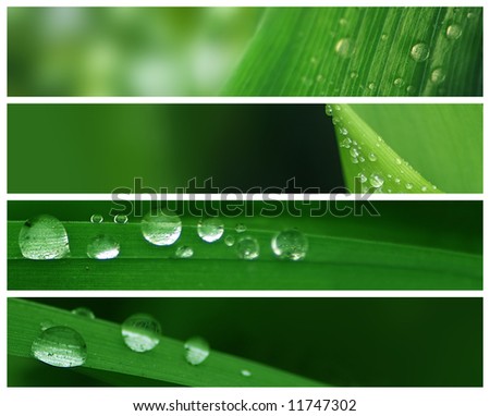 Banners - Natural Water Drops