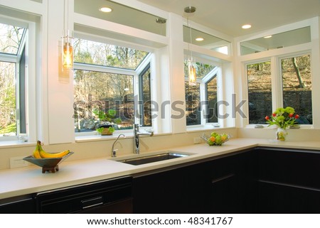 Kitchen Sink with Many Windows