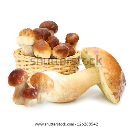 Boletus Edulis mushrooms in straw basket isolated on white background.