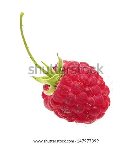 Raspberry Isolated On White Background