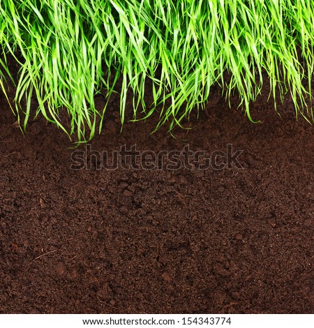 Green grass and soil pattern background.