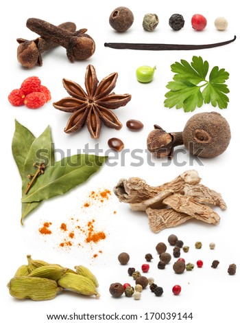 Different Spices And Herbs Isolated On White Background