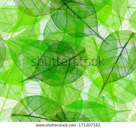 Macro green leaves seamless background Macro green leaves seamless background