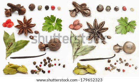 Different spices and herbs isolated on white background and hand drawing
