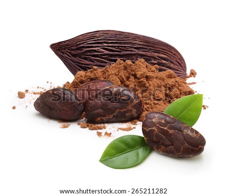 Cacao beans and powder isolated on white background