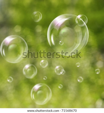 Soap bubbles on green natural background