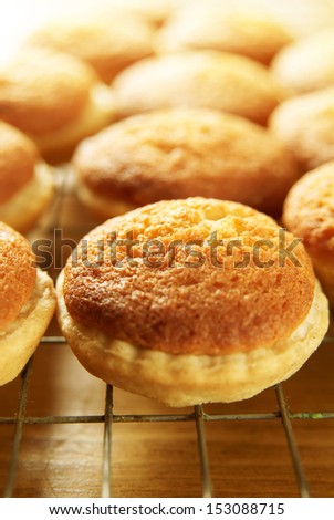 Close up of plain homemade buns on wire cooling tray. Narrow DOF