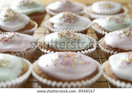 Freshly baked cupcakes in rows on a cooling tray,narrow depth of focus