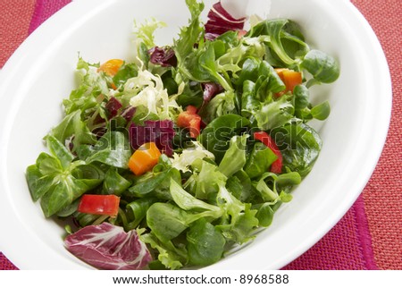 Crisp leafy salad in bowl