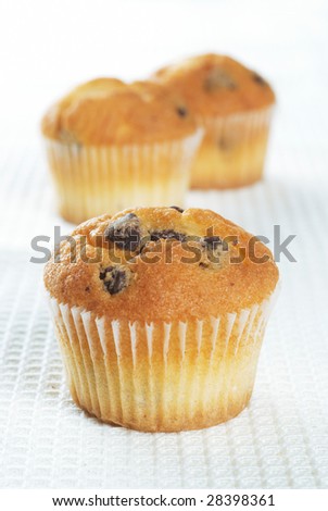 Three mini chocolate chip muffins. Focus on the front muffin.