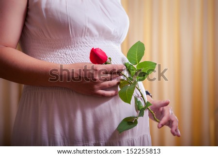 pregnant woman holding red rose flower