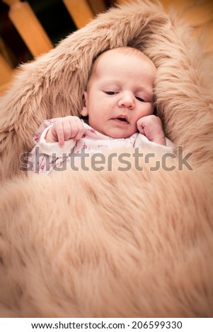 One month old baby looking and lying in fury cover