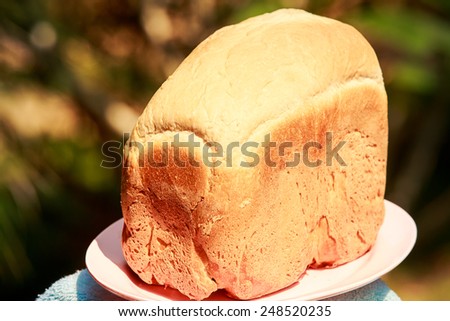big white handmade bread stand on pink plate outdoor with green background
