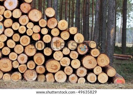 cut trees