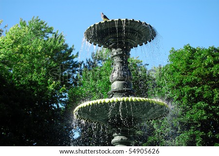 Bird Fountain, Montreal
