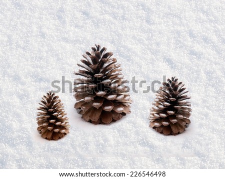 Newly fallen snow with pine cones