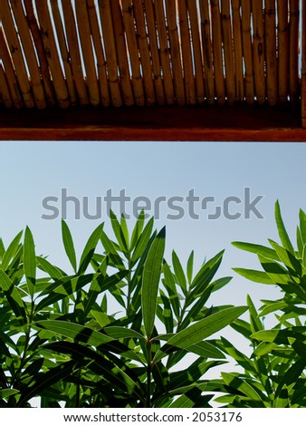 Bamboo roof and plant leaves