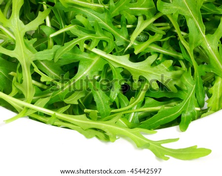 Wild Rocket Leaves