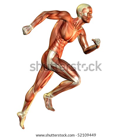 muscle running