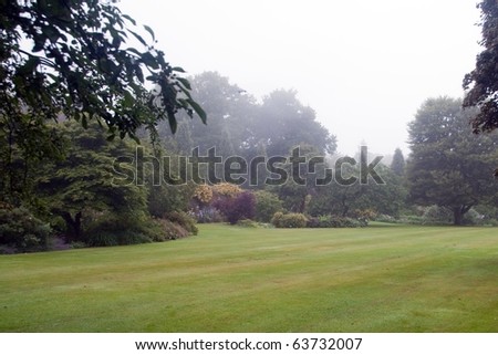 Garden in the Mist