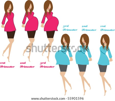 Stages Pregnancy on Stock Vector Pregnancy Stages 55901596 Jpg