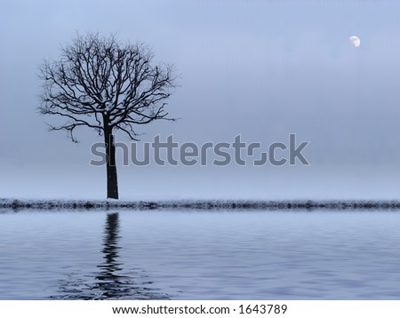 lonely tree and mirror river (see more in my portfolio)