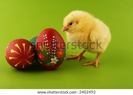 Easter Egg Chicken