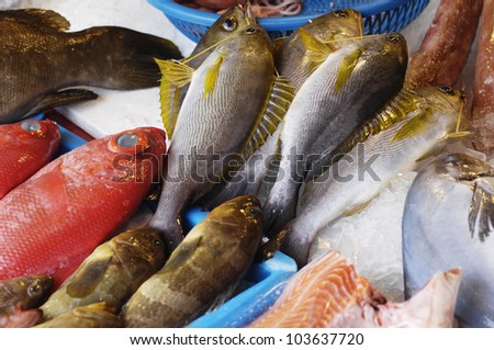 Close up of lovely fresh fish in a market