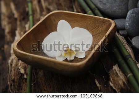 White orchid in bowl with pile of stones with thin bamboo grove on old wood