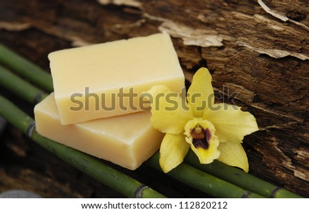 bamboo grove and orchid with soap on Driftwood
