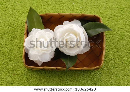 Two White Gardenia Blossom in basket on soft towel