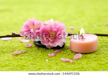 branch of cherries flowers blossom with stones and candle green towel