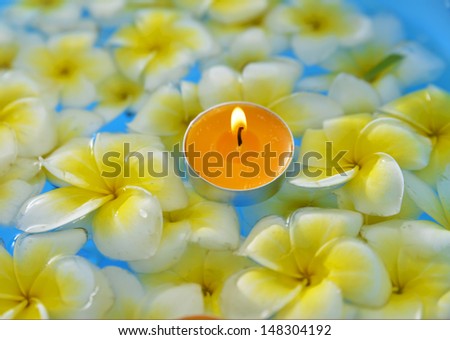 Many frangipani with orange candle in the water