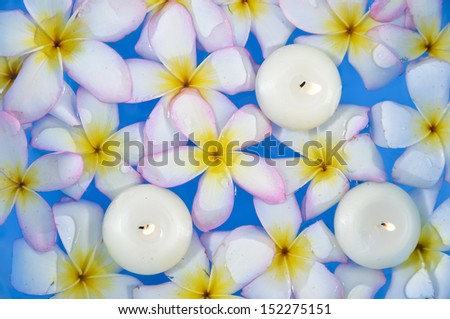 Many white and yellow frangipani flowers with three white candle in the water