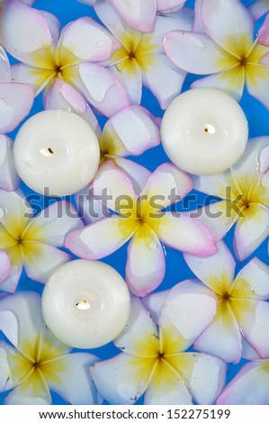 Many white and yellow frangipani flowers and three white candle in the water