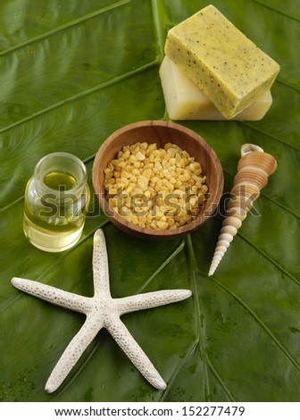 Sea stars and soap ,salt in bowl ,shell, oil on green leaf