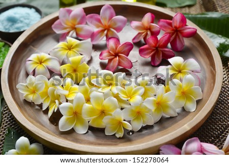 color sea salt in wooden bowl with perfume ,massage oil on palm