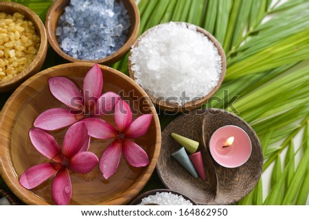 Tropical spa and palm leaf