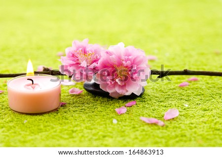 flowering quince blossom with stones and candle green towel