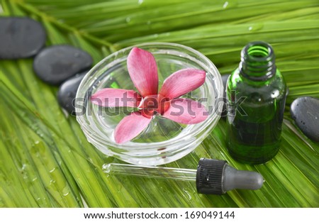 Set of plumeriaon bowl  and stones ,massage oil on wet palm leaf background
