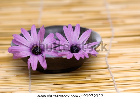 Pink flower in bowl and mat