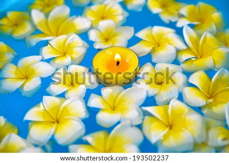 Many frangipani with yellow candle in the water